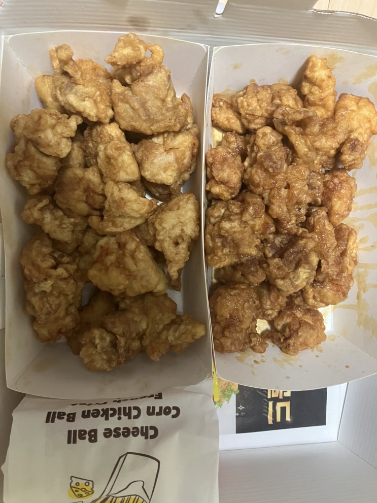  호식이두마리치킨 순살치킨 플러스 순살치킨 내돈내산 리뷰