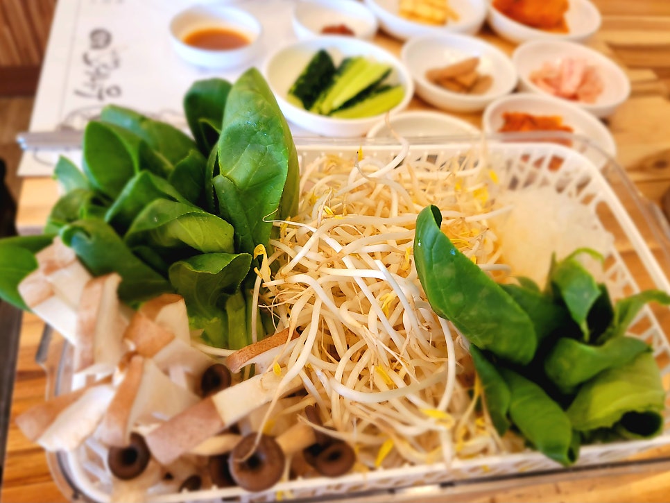 오리나무 사진 3