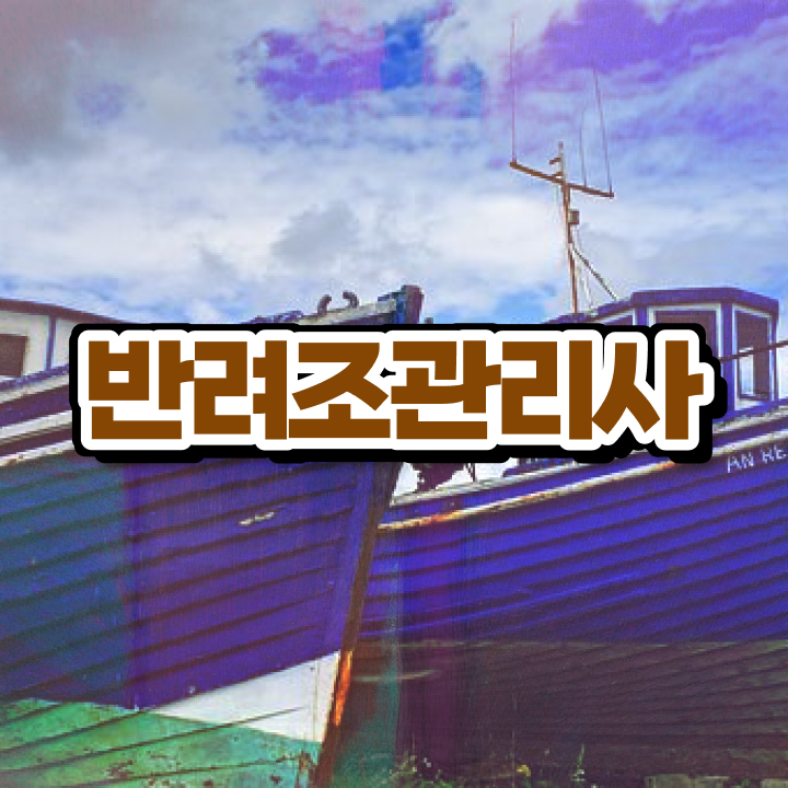  사랑앵무 수명 , 반려조관리사 자격증 상세한 합격한 전략 및 구직정보