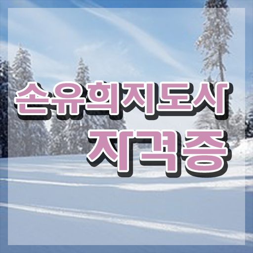  손유희지도사2급자격증 , 손유희지도사 자격증 한달 만에 합격한 전략 , 전망