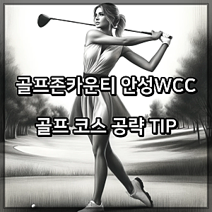 골프존카운티 안성WCC 골프 코스 공략 TIP