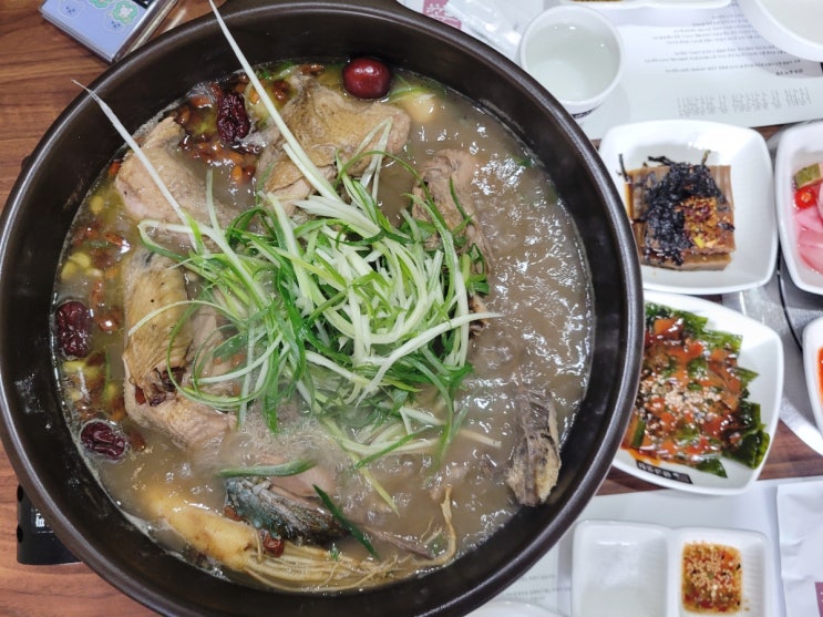  세종시 금남면 백숙맛집 황금옻닭 신상 베이커리카페 시선293 SISUN293 내돈내산 후기