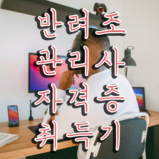  코뉴어 앵무새 종류 , 반려조관리사 자격증 취득 정보 궁금하다면