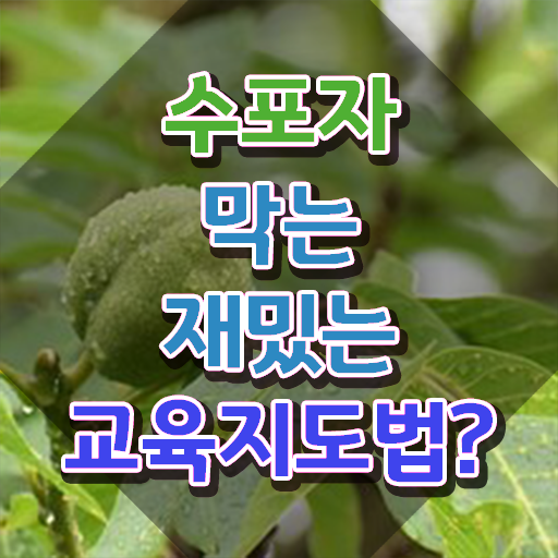  스토리텔링수학지도사 인증 , 스토리텔링수학지도사 자격증 독학으로 합격한 전략 및 채용 정보
