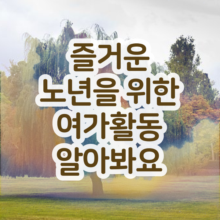  노인여가지도사 , 15일 만에 노인여가활동지도사자격증 합격한 후기