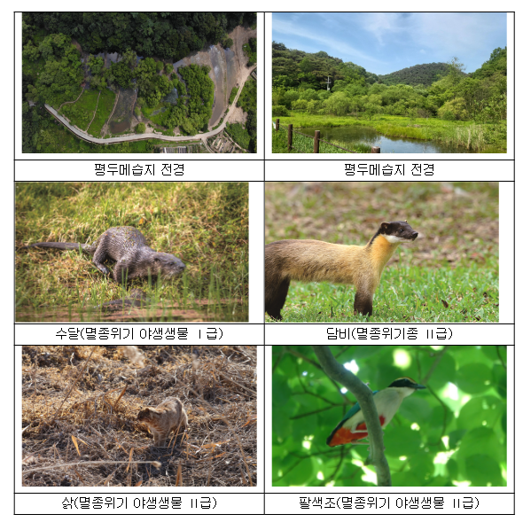 무등산 평두메습지, 우리나라 26번째 람사르 습지로 등록 무등산 평두메습지, 우리나라 26번째 람사르 습지로 등록