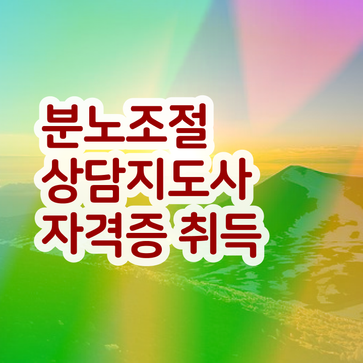 인산서분노조절상담사1급 상세한 분노조절상담지도사 합격한 후기 총 정리