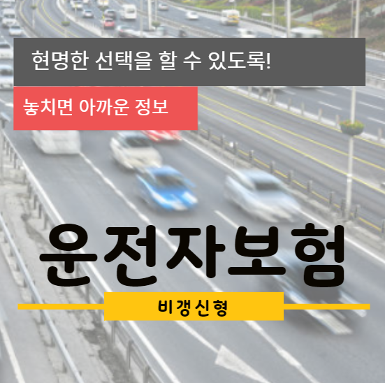  비갱신운전자보험 가입은 신중하게! 지금 바로 따라해보기