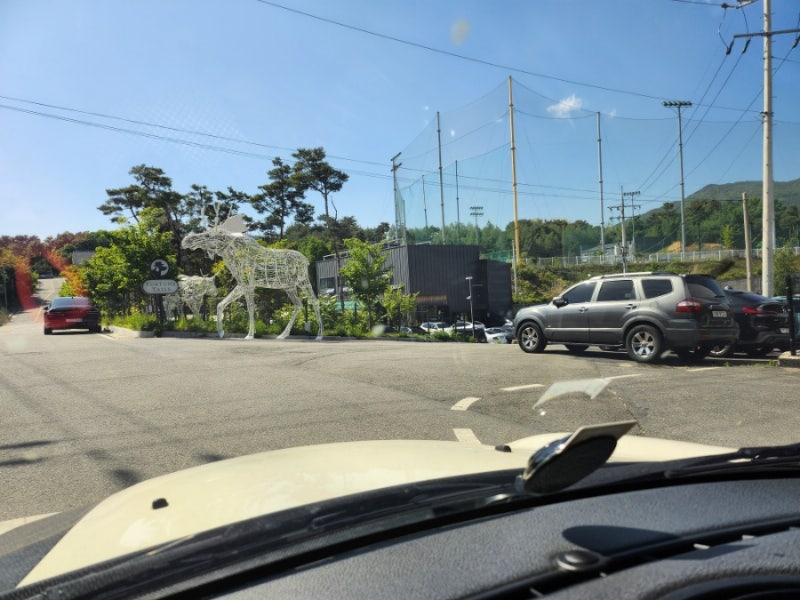 사진 5