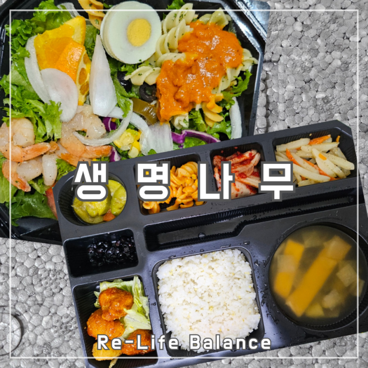  대구월도시락후기 | 생명나무 | 남돈내산 솔직리뷰
