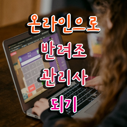  앵무새 분양가격 , 반려조관리사 자격증 1급,2급 동시에 준비 과정 확인해봅시다