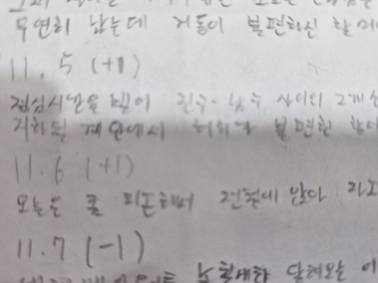 옛 날에 쓴 일기 보고 있는데