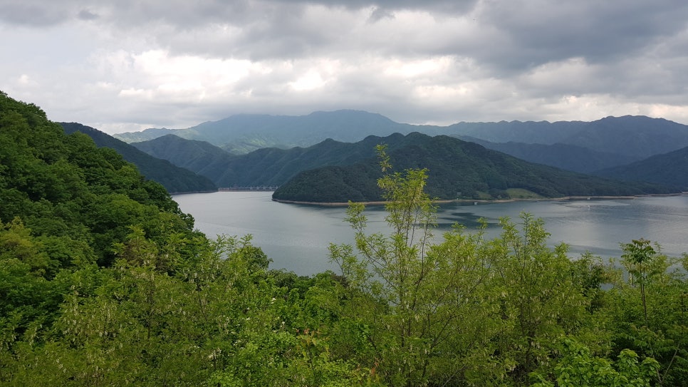 매봉산 사진 5