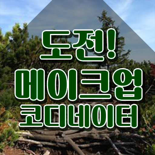  메이크업아티스트학과 , 메이크업코디네이터 자격증 상세한 시험준비 및 채용 정보