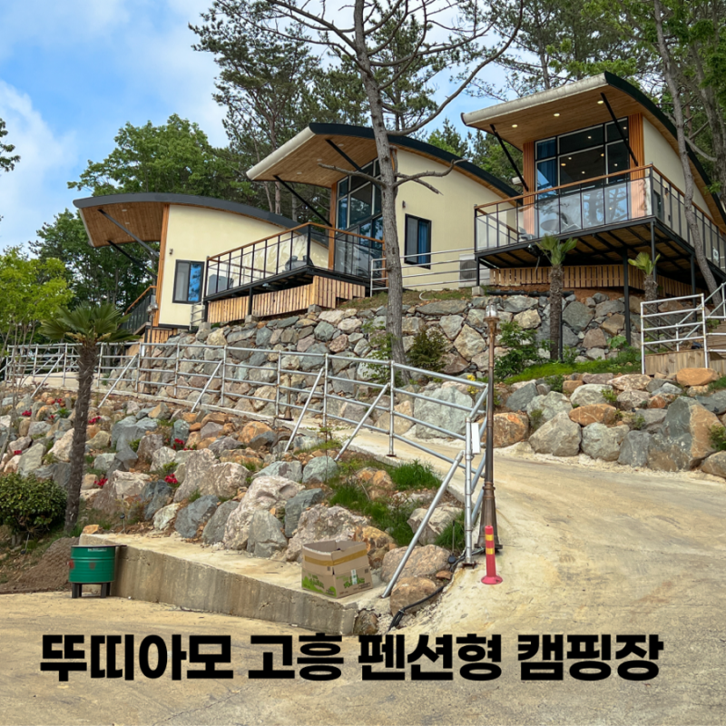 사진 7