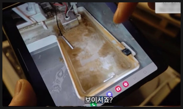  아이스커피를 꺼리는 이유, 카페 제빙기의 실태