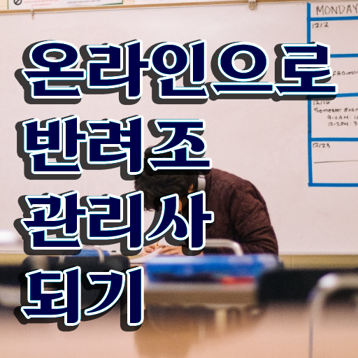  울산 앵무새 분양 , 반려조관리사 자격증 독학으로 취득한 과정 최신정보 공유