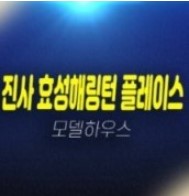안성 공도읍 진사 효성해링턴플레이스 진사리 신규아파트 잔여세대 분양가 모델하우스 현장위치안내 안성 공도읍 진사 효성해링턴플레이스 진사리 신규아파트 잔여세대 분양가 모델하우스 현장위치안내