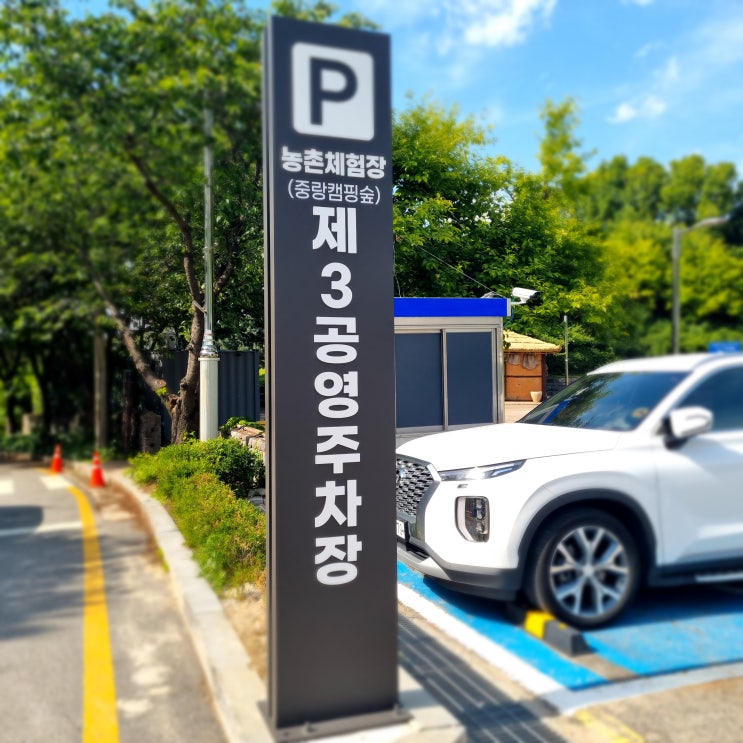 중랑캠핑숲 나들이공원 갔다가 10초 만에 집에 온 사연
