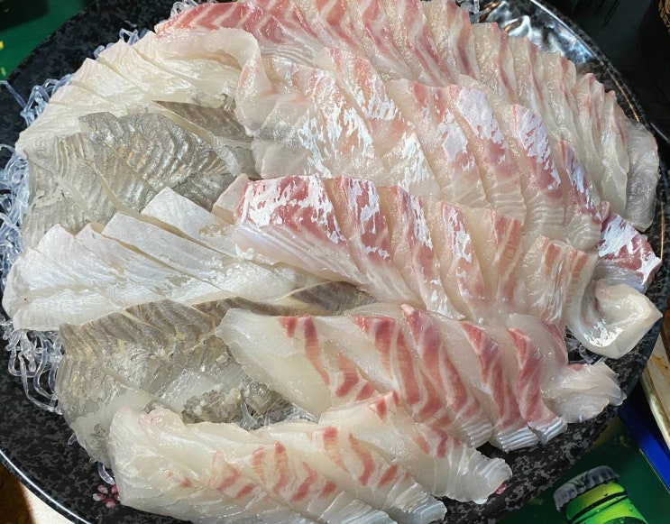  [수유횟집 대광어회집] 수유 찐맛집 대광어횟집! 방어철에는 웨이팅 기본! 봄도다리+참돔 내돈내산 후기