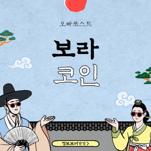  보라 코인의 빠르게 진화하는 암호화폐 세계에서 압도적 전망!