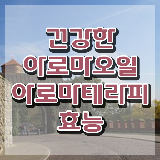  아로마뷰티diy지도사 연봉 , 아로마뷰티DIY지도사 자격증 20일 만에 취득 정보 총 정리