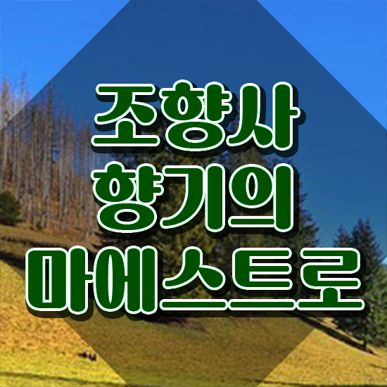  40대여자자격증 , 조향사 집에서 온라인으로 중년 직장인도 최단기간 준비한 전략