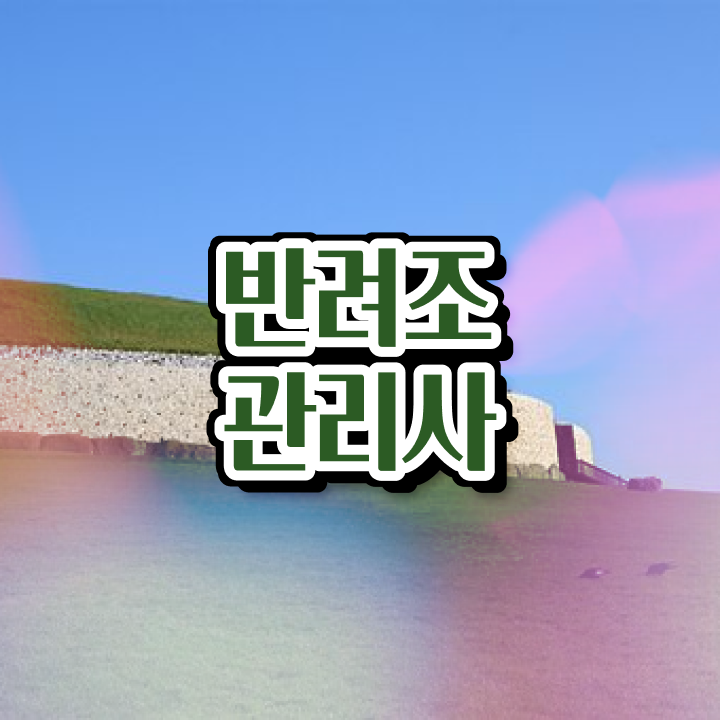  고흥 앵무새 , 반려조관리사 자격증 쉽고 빠르게 합격한 전략 및 구직정보