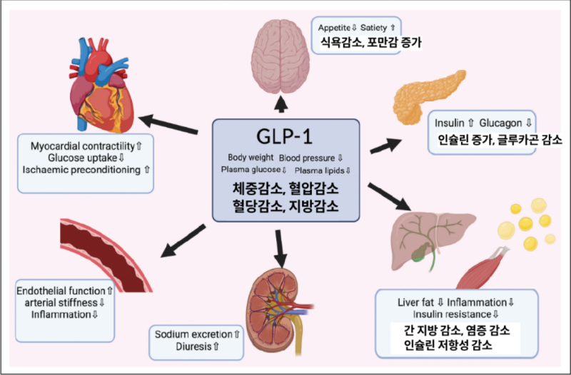 increase glp 1 supplement Amazon.com: GLP-Activate | Hunger & Metabolism Support - Formulated to Help  Support GLP-1 Pathways - Expert Formulated Supplement