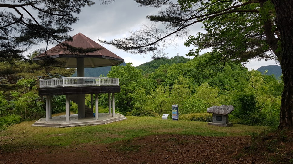 매봉산 사진 4
