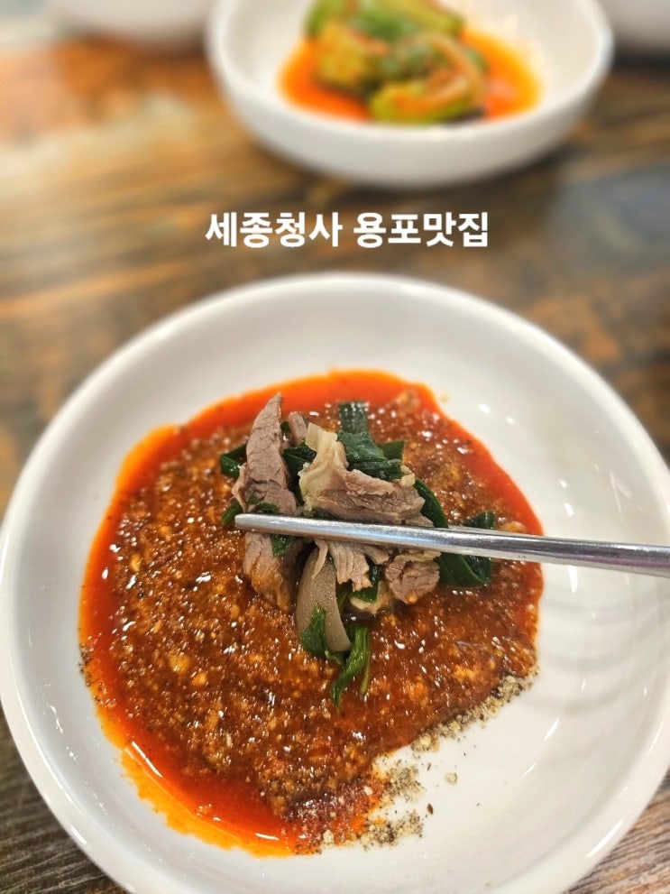  세종시청 보람동맛집 한식대가 흑염소탕 용포맛집