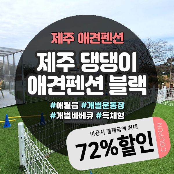  오픈특가 이벤트중인 독채형 제주애견펜션
