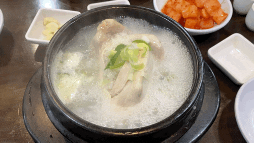  서울/광화문 [고려삼계탕] 광화문 광장, 세종문화회관 근처 미슐랭 삼계탕 맛집 추천 