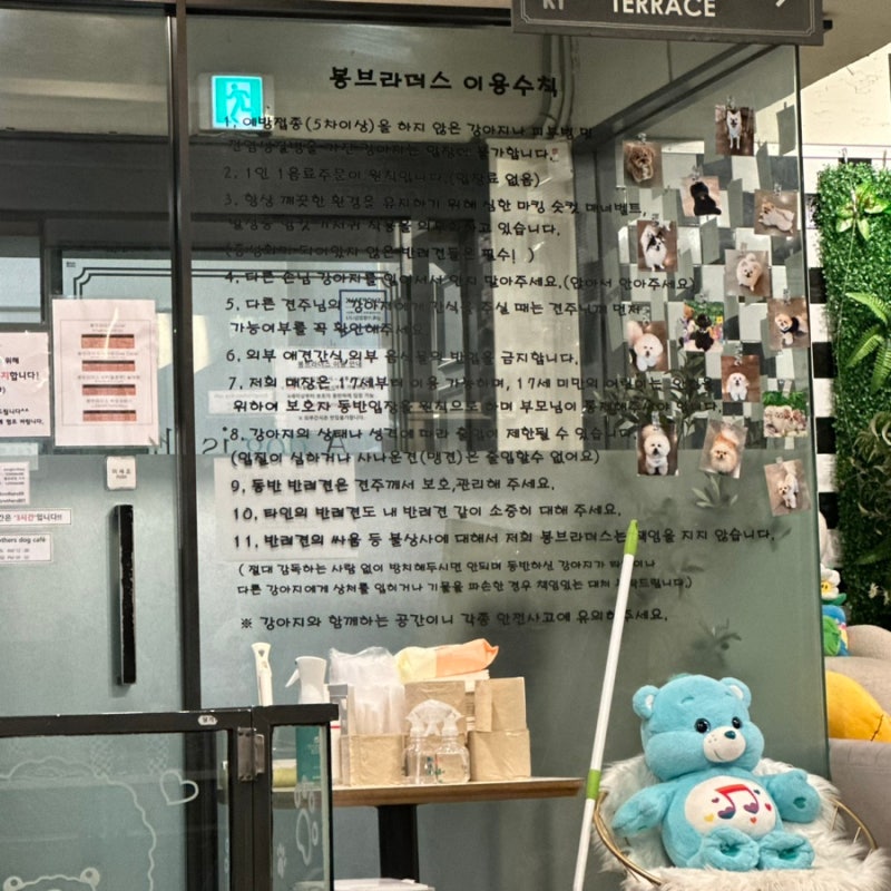 사진 3