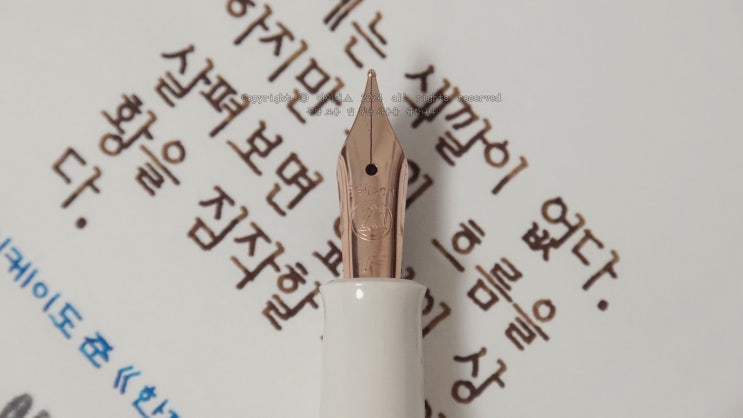  돈에는 색깔이 없다 (펠리칸 M200 코퍼 로즈골드 F닙 만년필로 필사하기)
