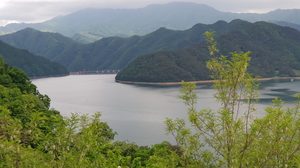 매봉산 사진 6