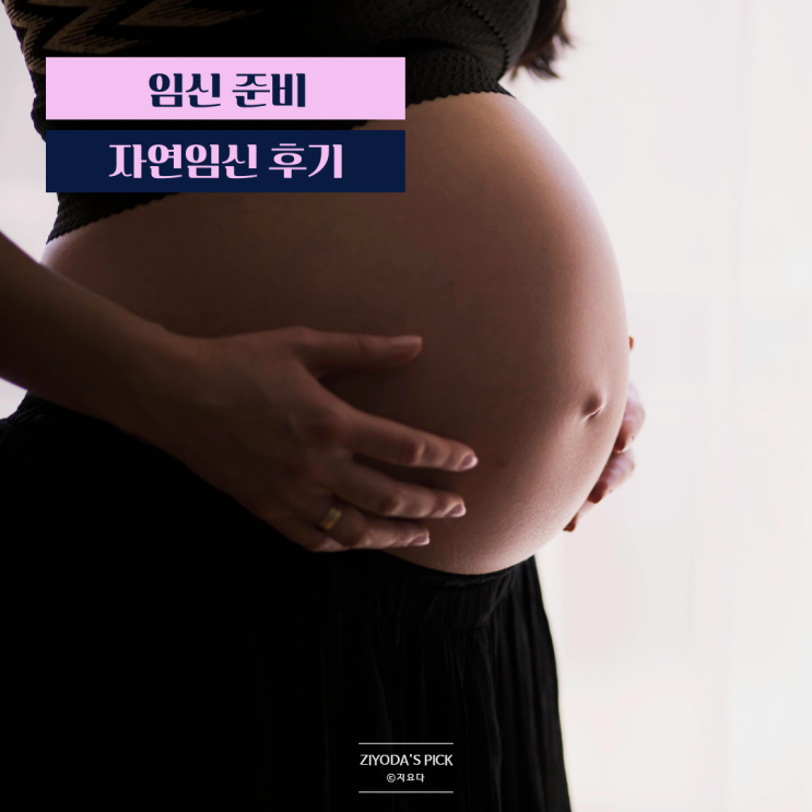  AMH 0.4 난저 자연임신 성공후기 (w. 난임극복 방법)