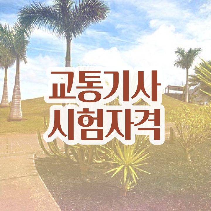  교통기사 필기 교통기사 응시조건 학점은행제로 1학기 만에 성공한 노하우