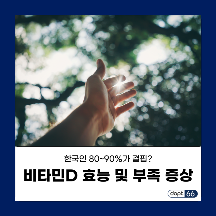  비타민D 효능 및 부족 증상, 비타민D2/D3/활성형 비타민D3 차이