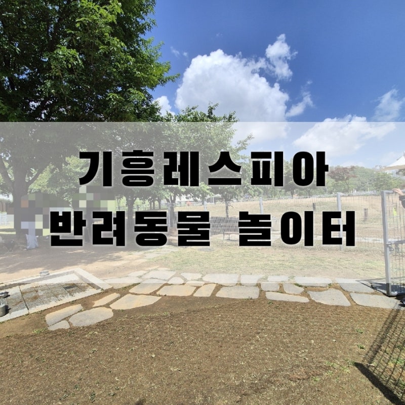 반려동물놀이터