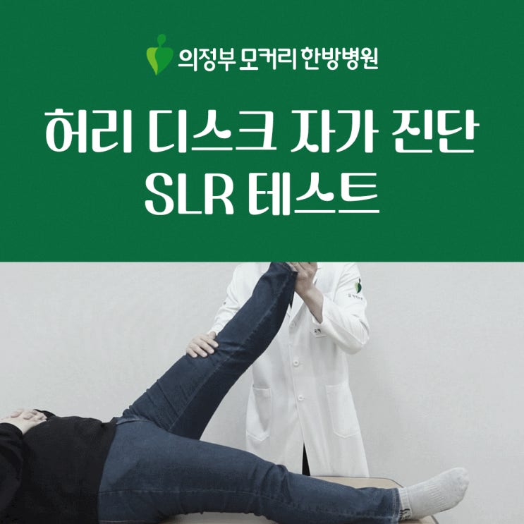  허리 디스크 자가 진단 SLR 테스트