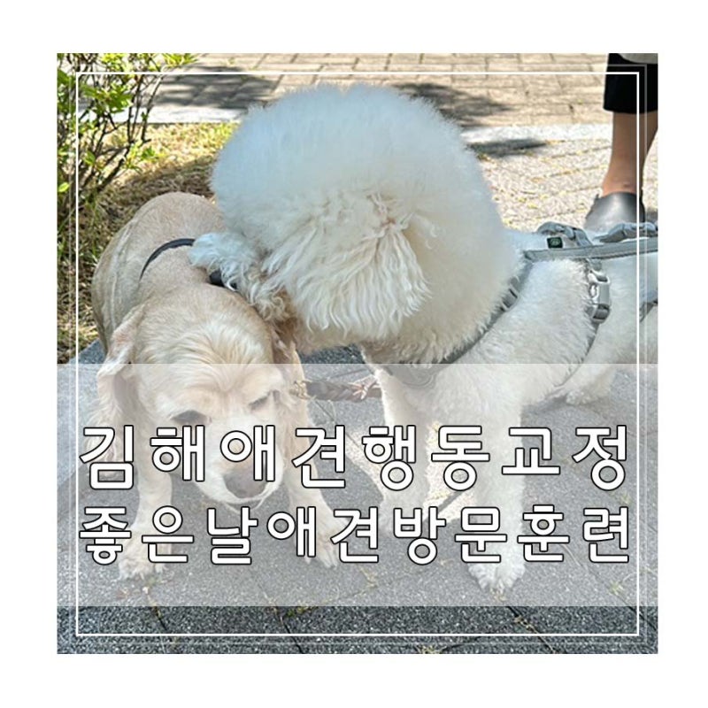 사진 3
