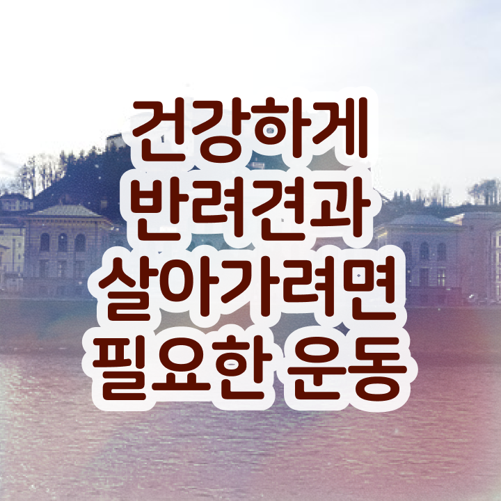  반려견운동지도사 무료 교육 , 반려견운동지도사 합격 전략 , 취업후기