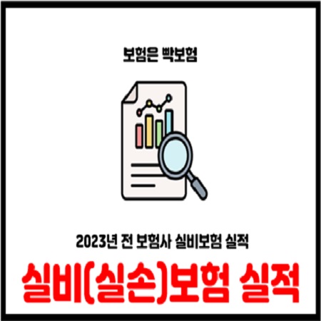  2023년 실비보험 실손보험 실적