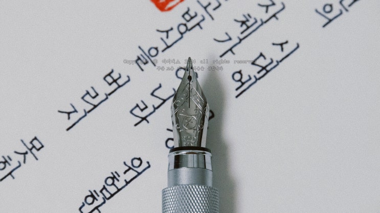  변화하는 시대에서 가장 위험한 것 (무인양품 F닙 만년필로 필사하기)