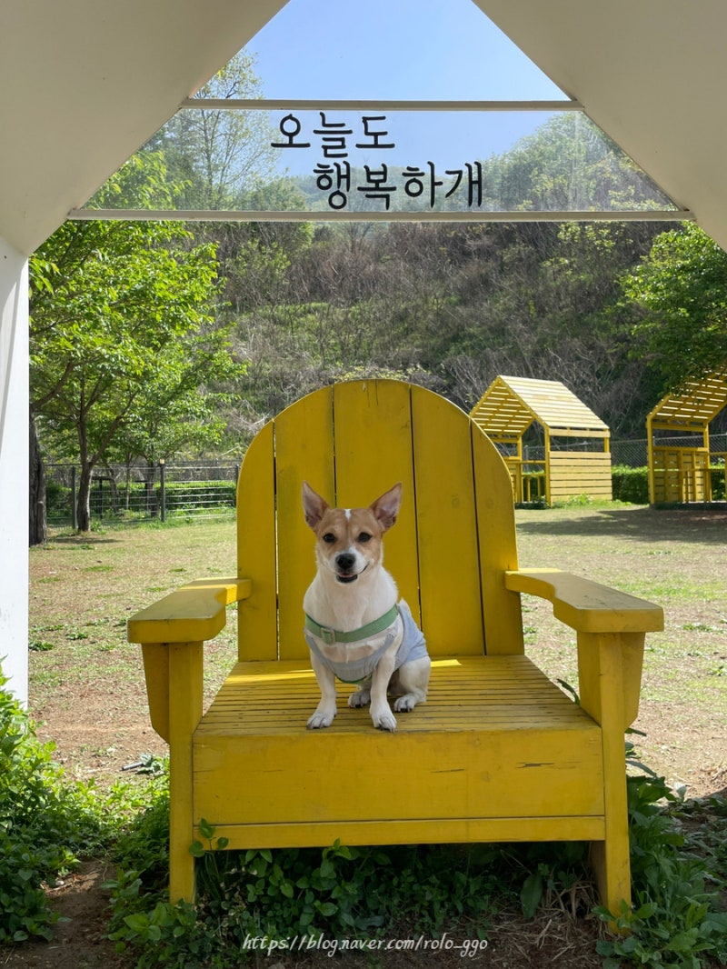 사진 6