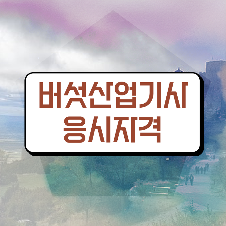  버섯산업기사 자격조건 버섯산업기사 시험응시자격 집에서 온라인으로 5달만에 성공한 과정