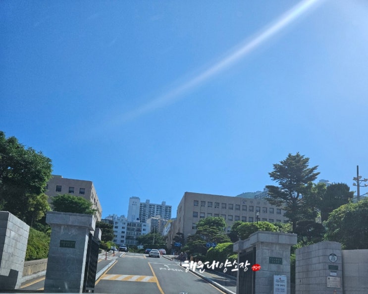  열심 진심 부심 해운대양소장 법원 다녀오는 사이