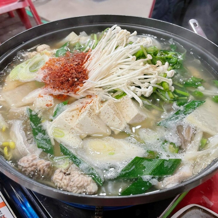  강원도 속초시 영랑해안길 거리 초롱이네 장사항 바다뷰 포차 포장마차 등대해수욕장 맛집