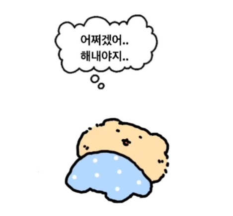 독립 후 다섯 번째 이사일기 (3) 이사 후기, 집 보수